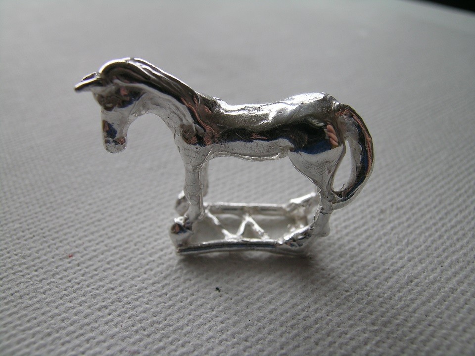 horse ring Maja Houtman casting